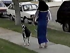 Garbus bjaurus dames XXX