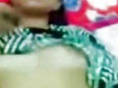 Norvegų-busty shy-drovūs katė